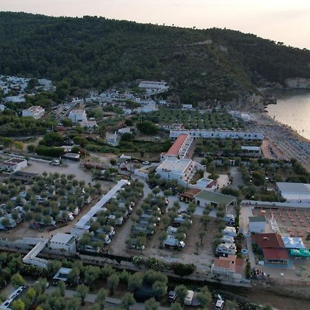 Appartamenti Baia Di Peschici Exteriör bild